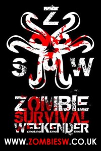 zsw banner ad website