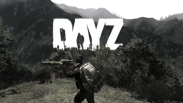 dayz1.png